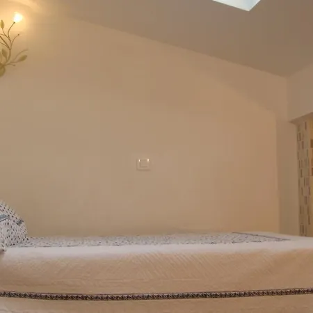 公寓 Cote Barbacane - Parking Prive - 100m Cite Medievale